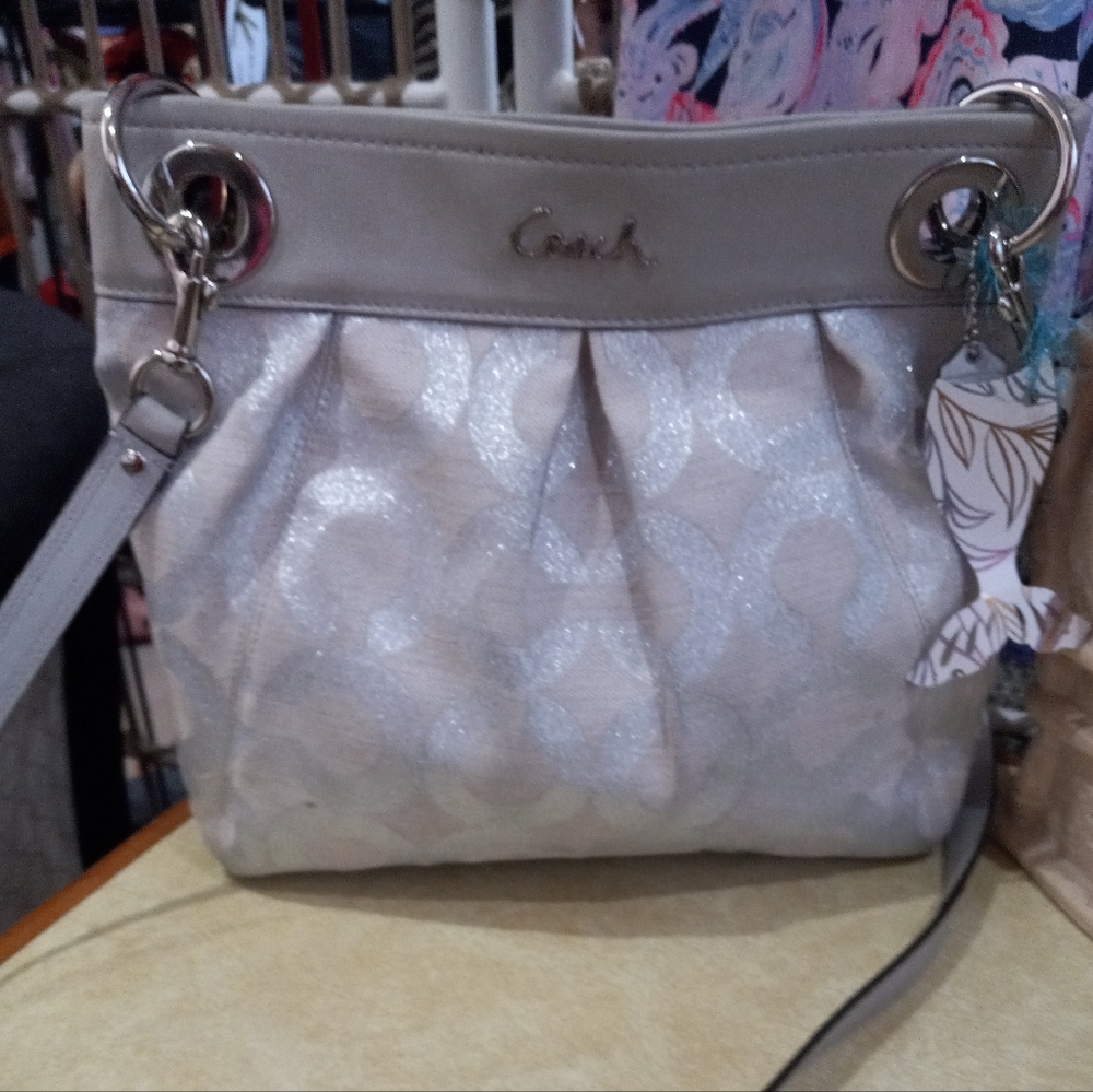 Coach Gray/ Silver Signature Tote Bag Crossbody